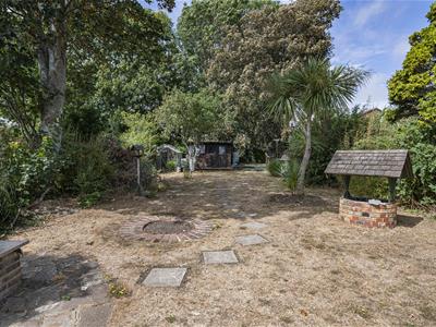Picture 18
